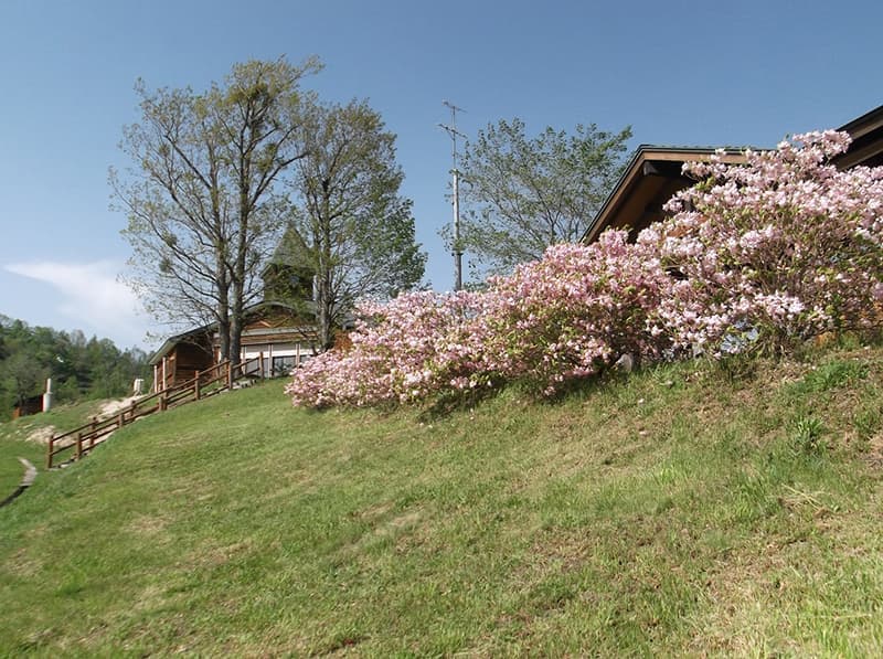森と木の里キャンプ場