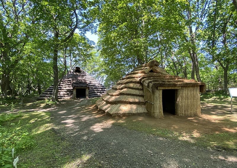 ところ遺跡の森