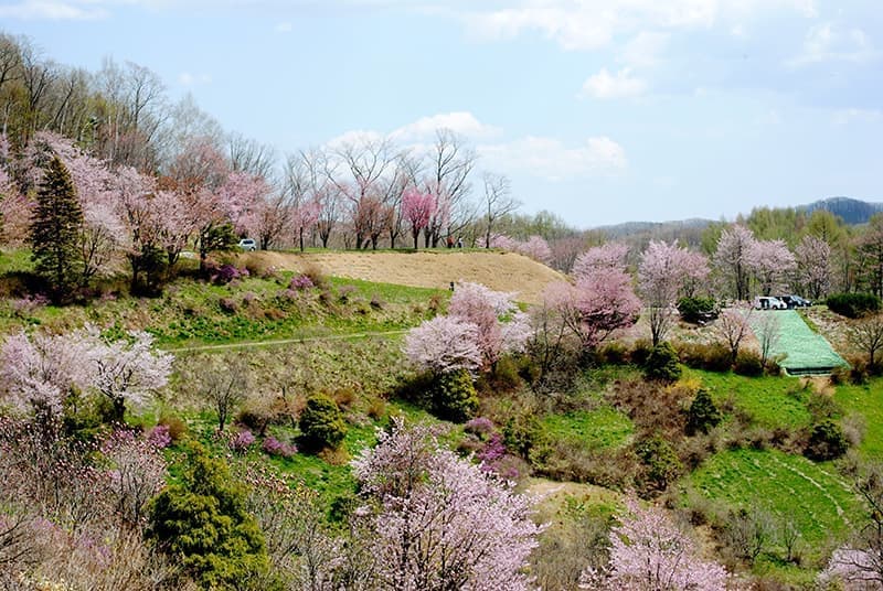 フラワーパラダイス