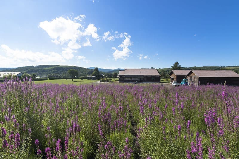 仁頃はっか公園
