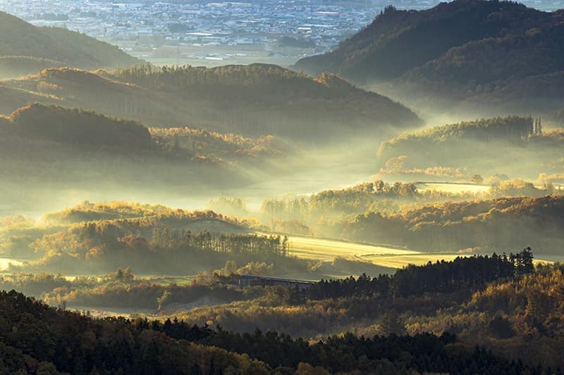 本沢牧場展望台